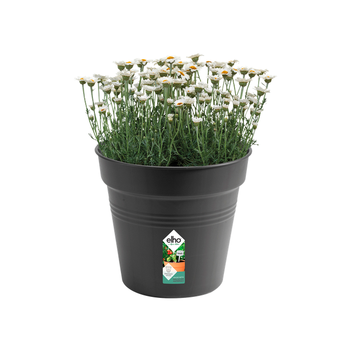 green basics kweekpot 30cm living black